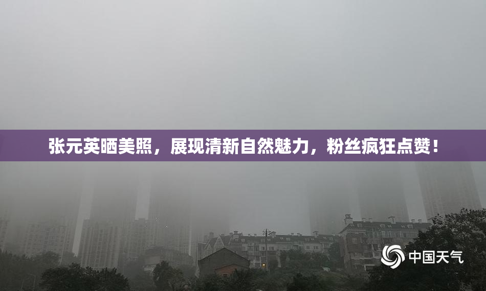 张元英晒美照，展现清新自然魅力，粉丝疯狂点赞！