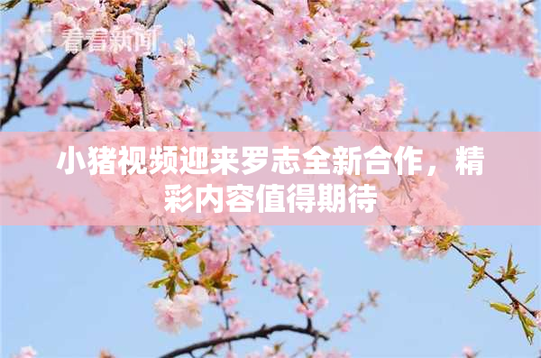 小猪视频迎来罗志全新合作，精彩内容值得期待
