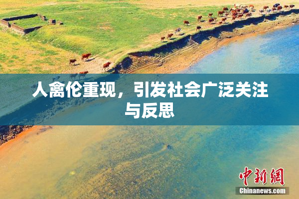 人禽伦重现，引发社会广泛关注与反思