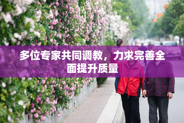 多位专家共同调教，力求完善全面提升质量