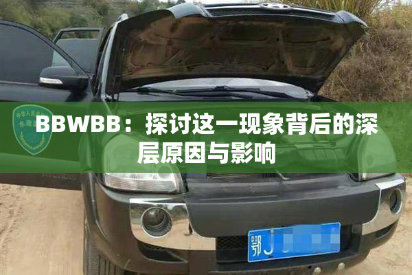 BBWBB：探讨这一现象背后的深层原因与影响