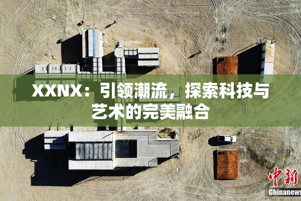 XXNX：引领潮流，探索科技与艺术的完美融合