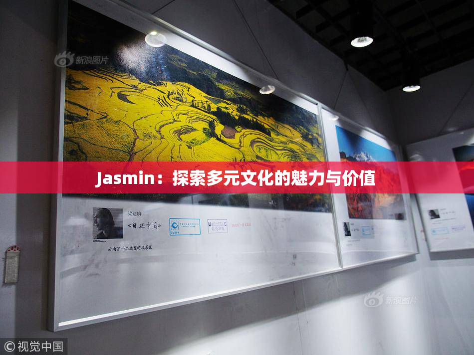 Jasmin：探索多元文化的魅力与价值