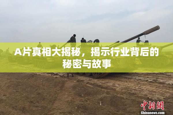 A片真相大揭秘，揭示行业背后的秘密与故事