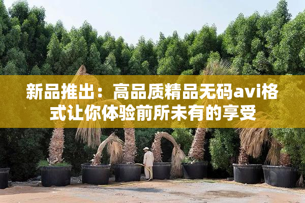 新品推出：高品质精品无码avi格式让你体验前所未有的享受
