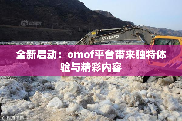 全新启动：omof平台带来独特体验与精彩内容