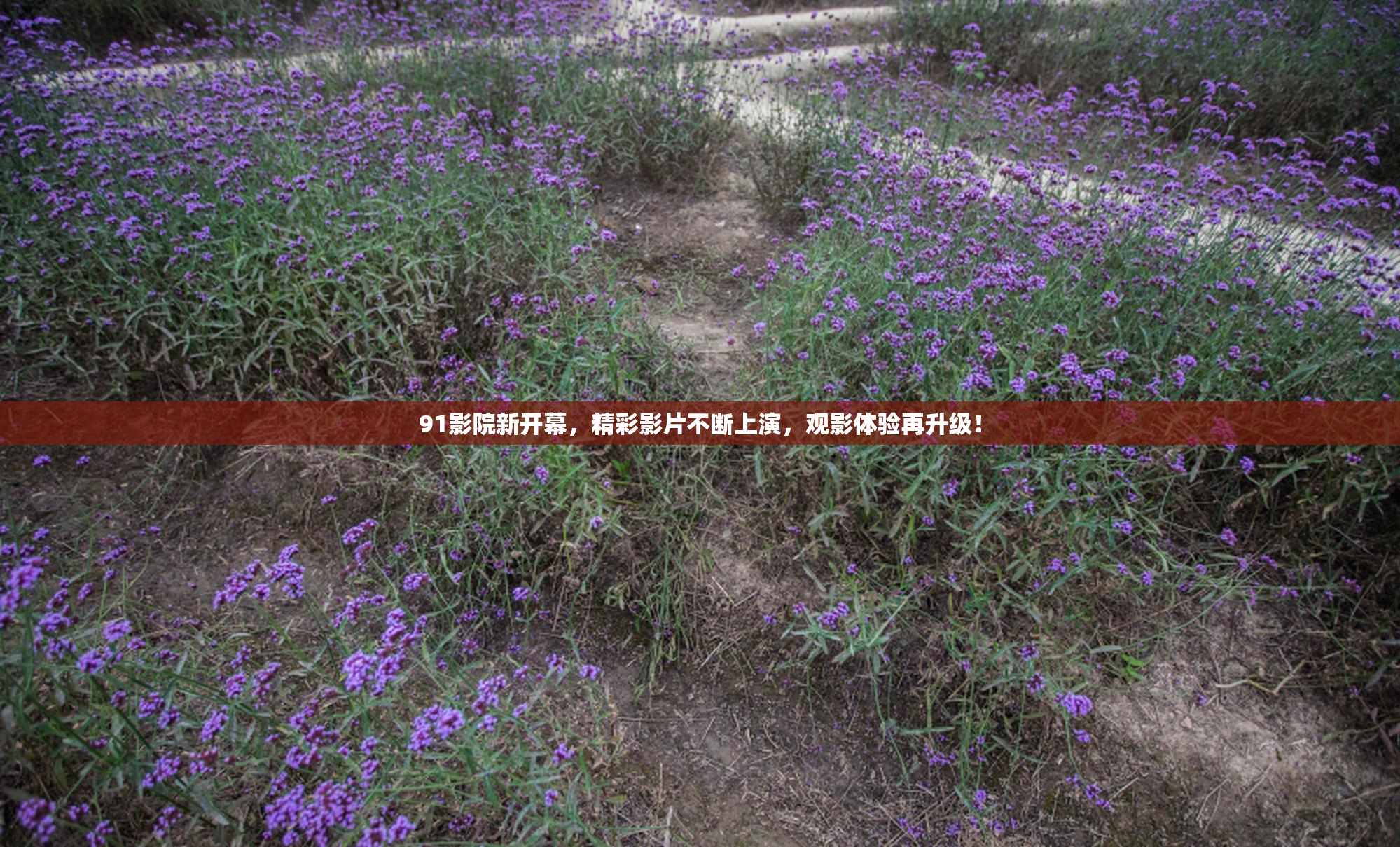 91影院新开幕，精彩影片不断上演，观影体验再升级！