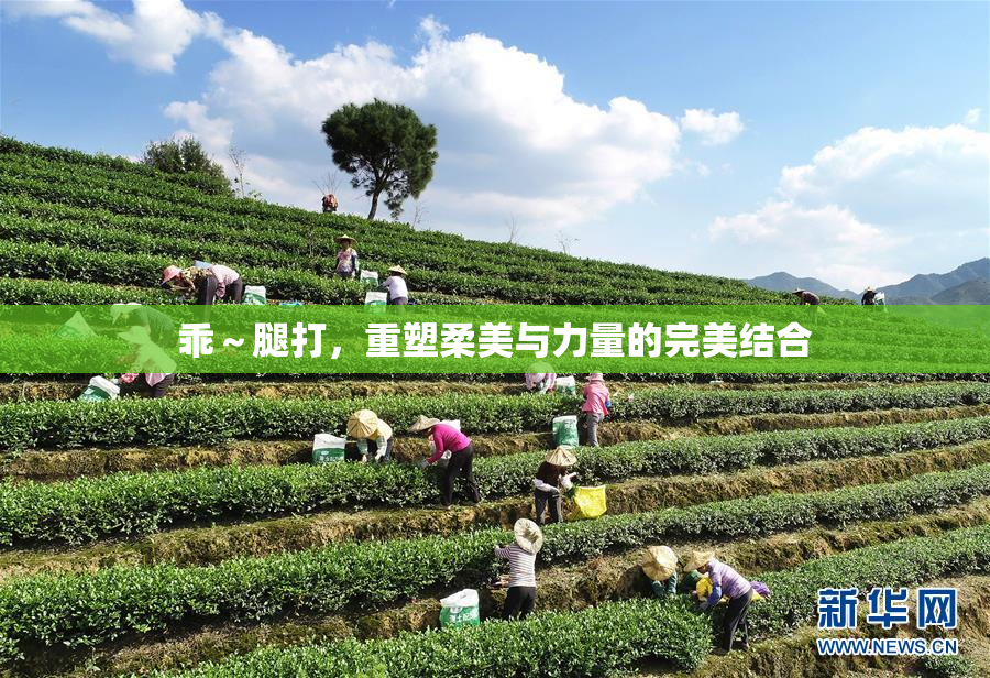 乖～腿打，重塑柔美与力量的完美结合