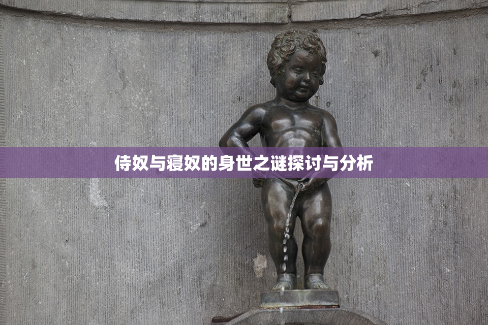 侍奴与寝奴的身世之谜探讨与分析