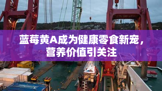 蓝莓黄A成为健康零食新宠，营养价值引关注