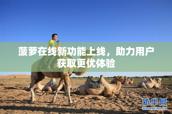 菠萝在线新功能上线，助力用户获取更优体验