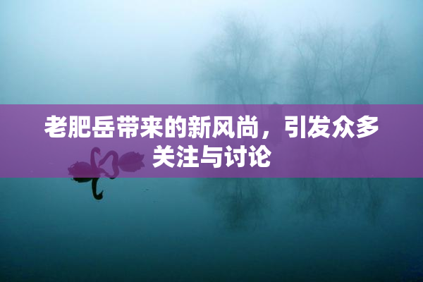 老肥岳带来的新风尚，引发众多关注与讨论