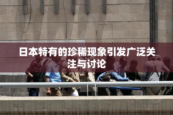 日本特有的珍稀现象引发广泛关注与讨论