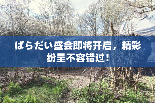 ぱらだい盛会即将开启，精彩纷呈不容错过！