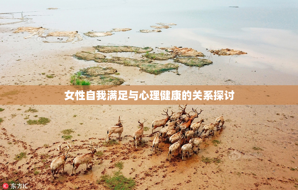 女性自我满足与心理健康的关系探讨