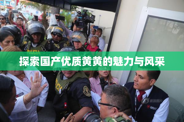 探索国产优质黄黄的魅力与风采