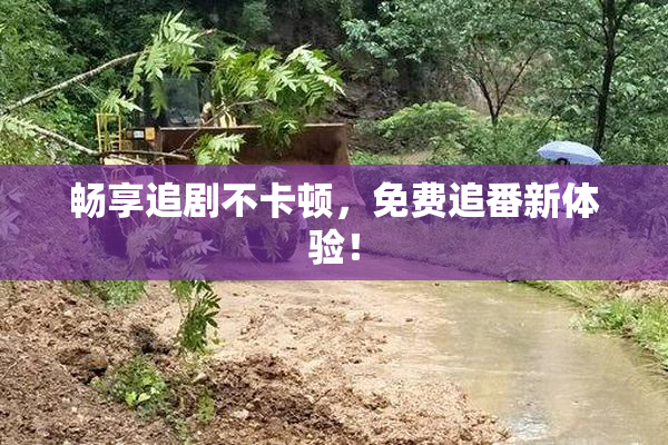 畅享追剧不卡顿，免费追番新体验！