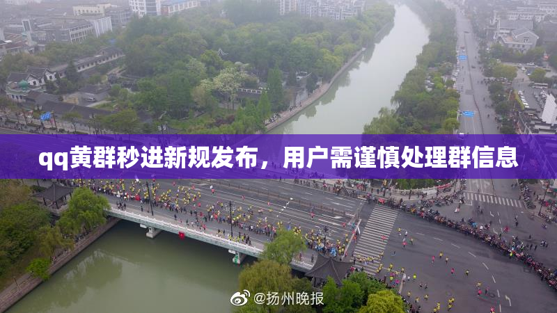 qq黄群秒进新规发布，用户需谨慎处理群信息