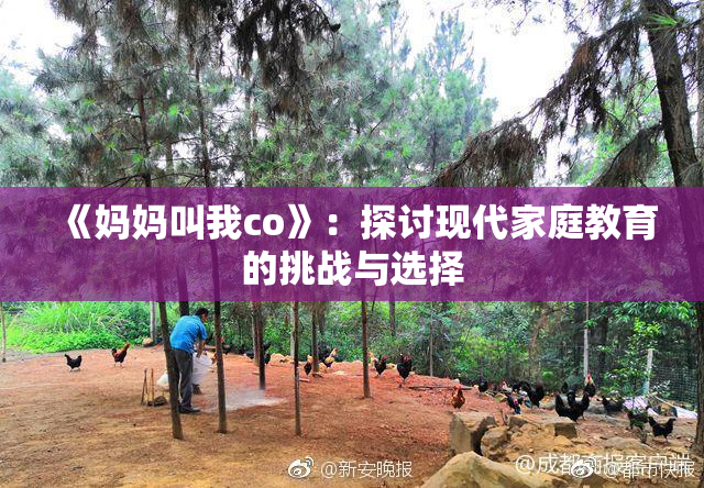 《妈妈叫我co》：探讨现代家庭教育的挑战与选择