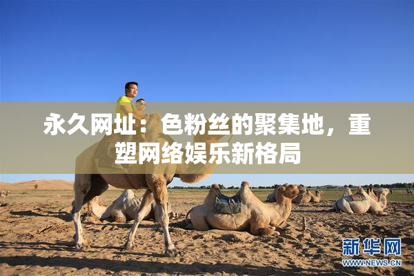 永久网址：色粉丝的聚集地，重塑网络娱乐新格局