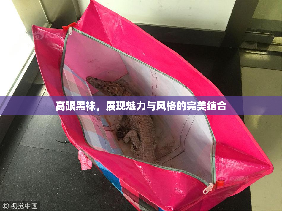 高跟黑袜，展现魅力与风格的完美结合