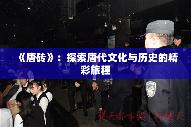 《唐砖》：探索唐代文化与历史的精彩旅程