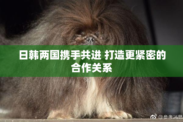 日韩两国携手共进 打造更紧密的合作关系