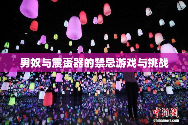 男奴与震蛋器的禁忌游戏与挑战