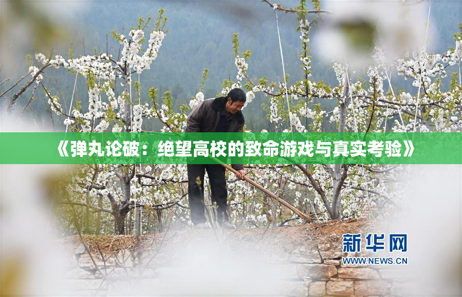 《弹丸论破：绝望高校的致命游戏与真实考验》
