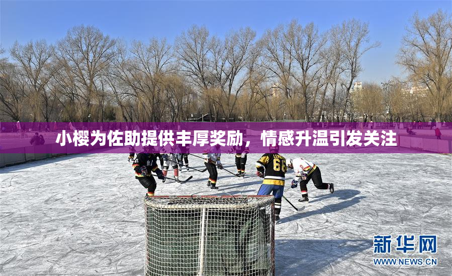 小樱为佐助提供丰厚奖励，情感升温引发关注