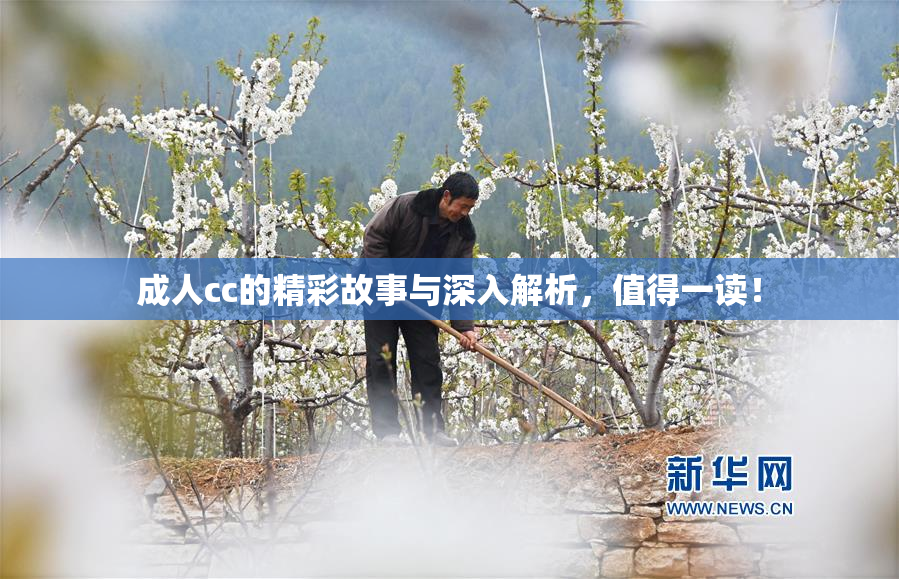 成人cc的精彩故事与深入解析，值得一读！