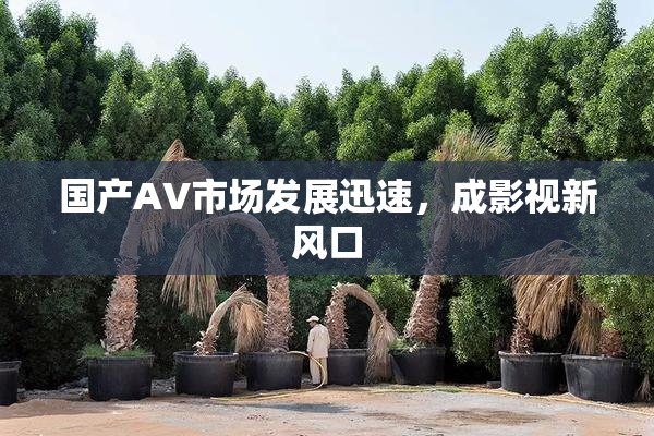 国产AV市场发展迅速，成影视新风口