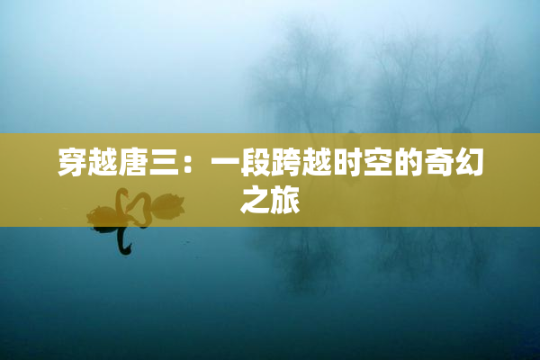 穿越唐三：一段跨越时空的奇幻之旅