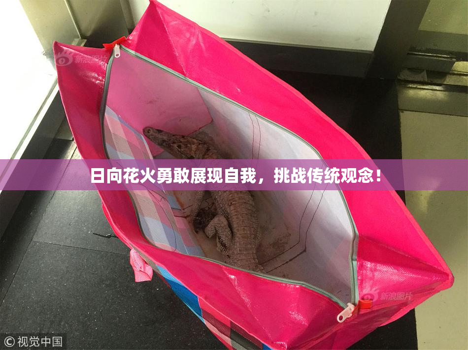 日向花火勇敢展现自我，挑战传统观念！