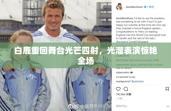 白鹿重回舞台光芒四射，光溜表演惊艳全场