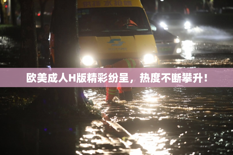 欧美成人H版精彩纷呈，热度不断攀升！