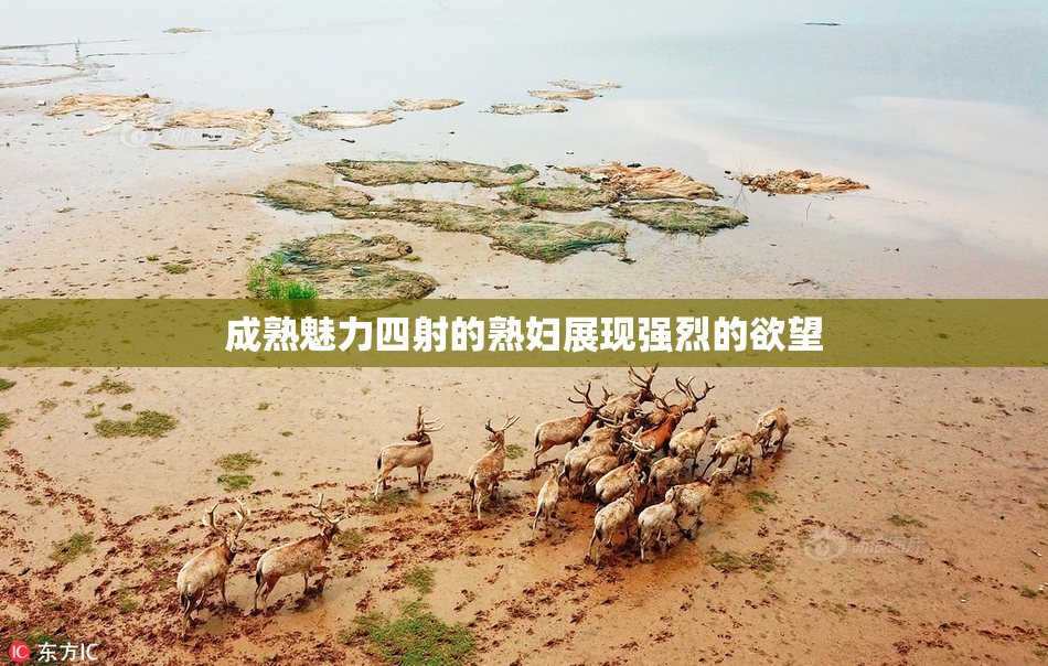 成熟魅力四射的熟妇展现强烈的欲望