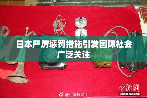 日本严厉惩罚措施引发国际社会广泛关注