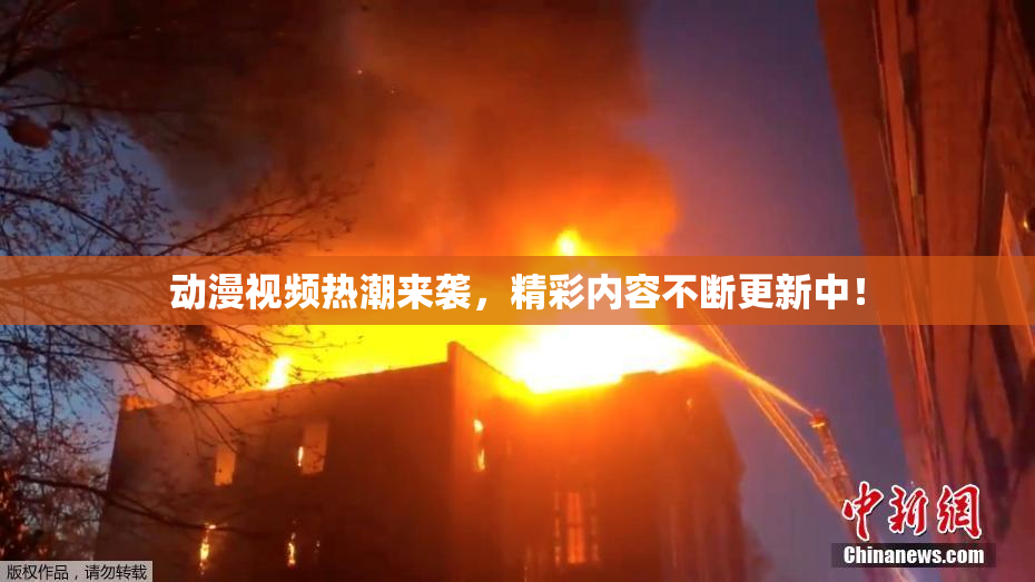 动漫视频热潮来袭，精彩内容不断更新中！