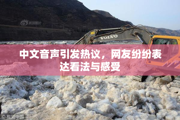 中文音声引发热议，网友纷纷表达看法与感受