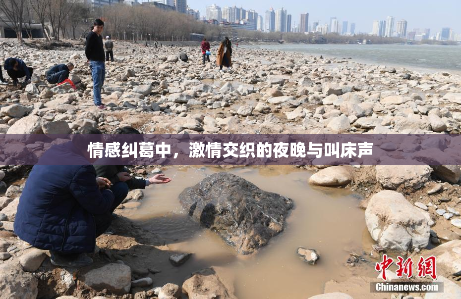 情感纠葛中，激情交织的夜晚与叫床声