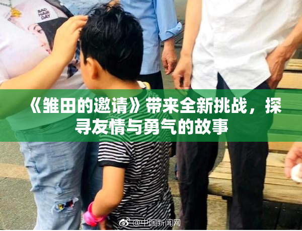 《雏田的邀请》带来全新挑战，探寻友情与勇气的故事