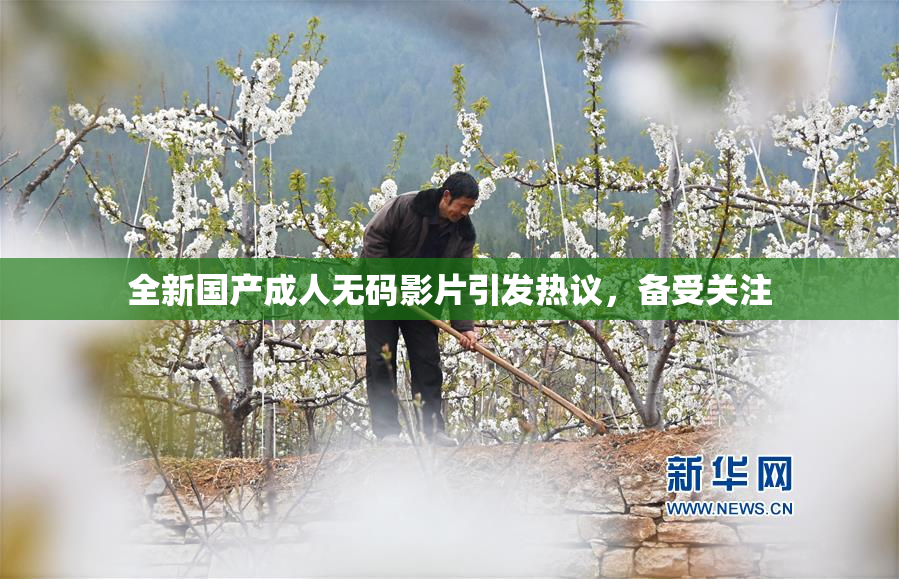 全新国产成人无码影片引发热议，备受关注