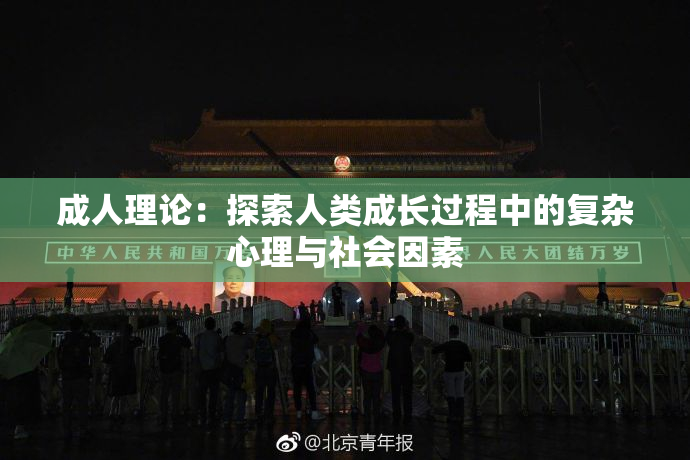 成人理论：探索人类成长过程中的复杂心理与社会因素