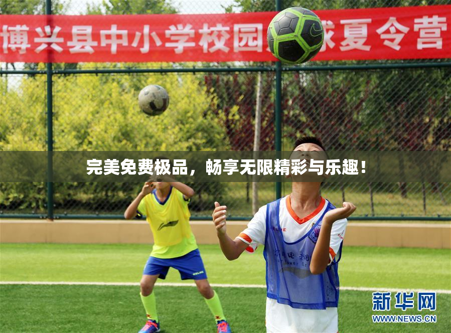 完美免费极品，畅享无限精彩与乐趣！