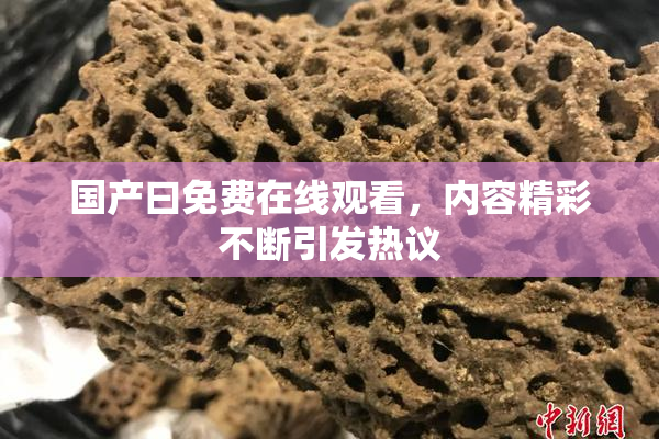 国产曰免费在线观看，内容精彩不断引发热议