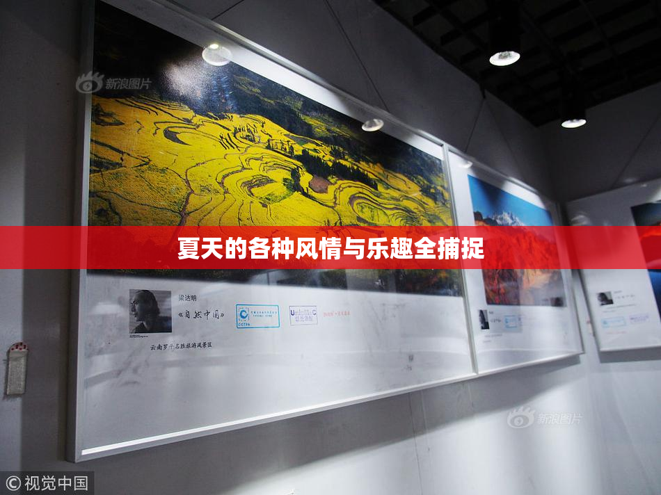 夏天的各种风情与乐趣全捕捉