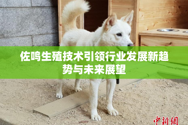 佐鸣生殖技术引领行业发展新趋势与未来展望