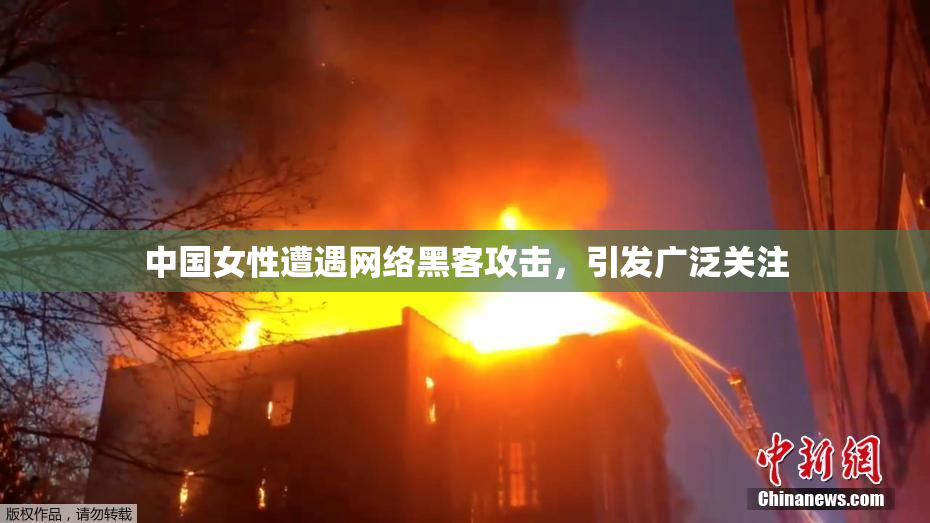中国女性遭遇网络黑客攻击，引发广泛关注