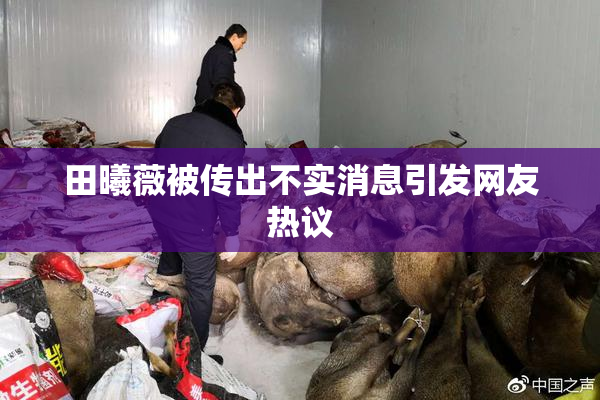 田曦薇被传出不实消息引发网友热议